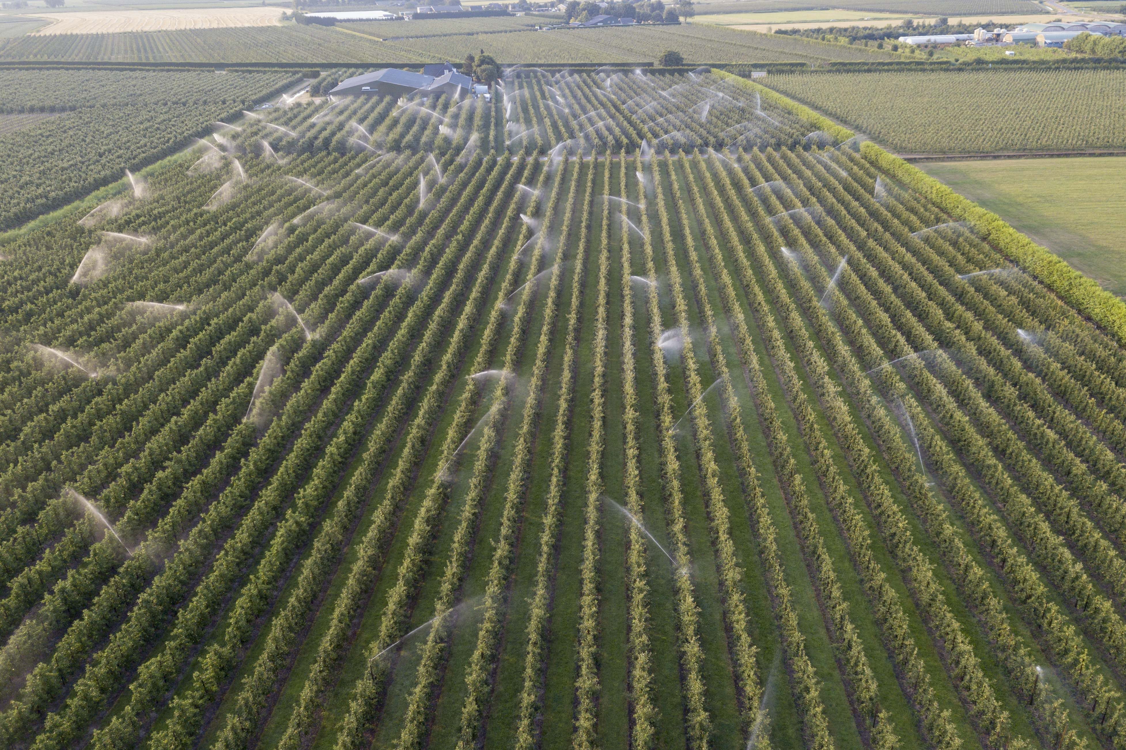 cropped-DJI_0010.jpg